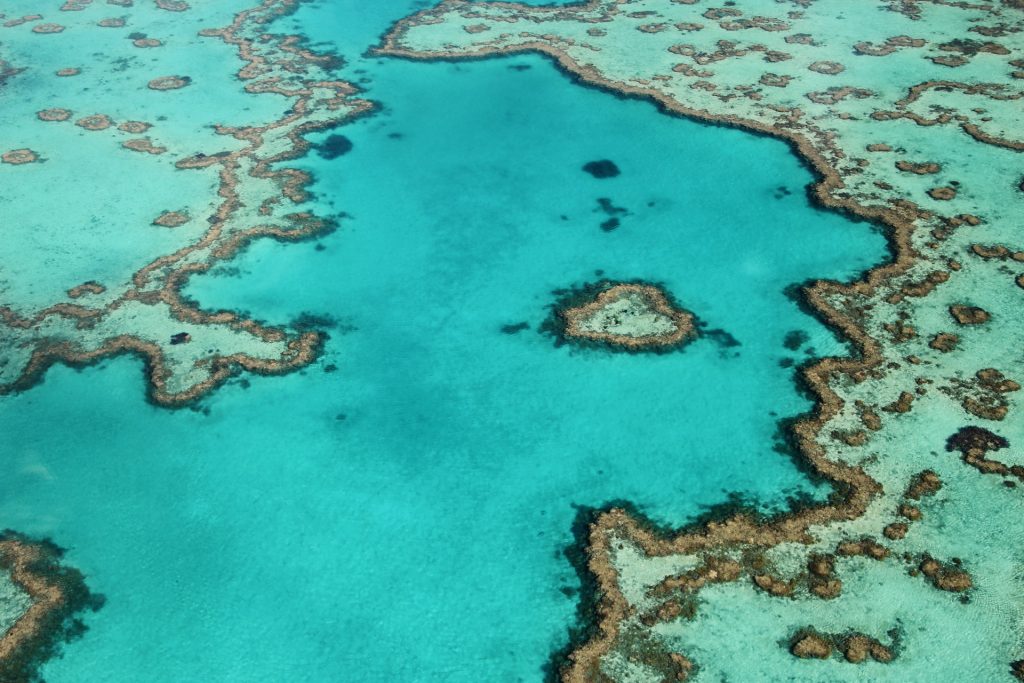 barriera corallina dall'elicottero in Australia