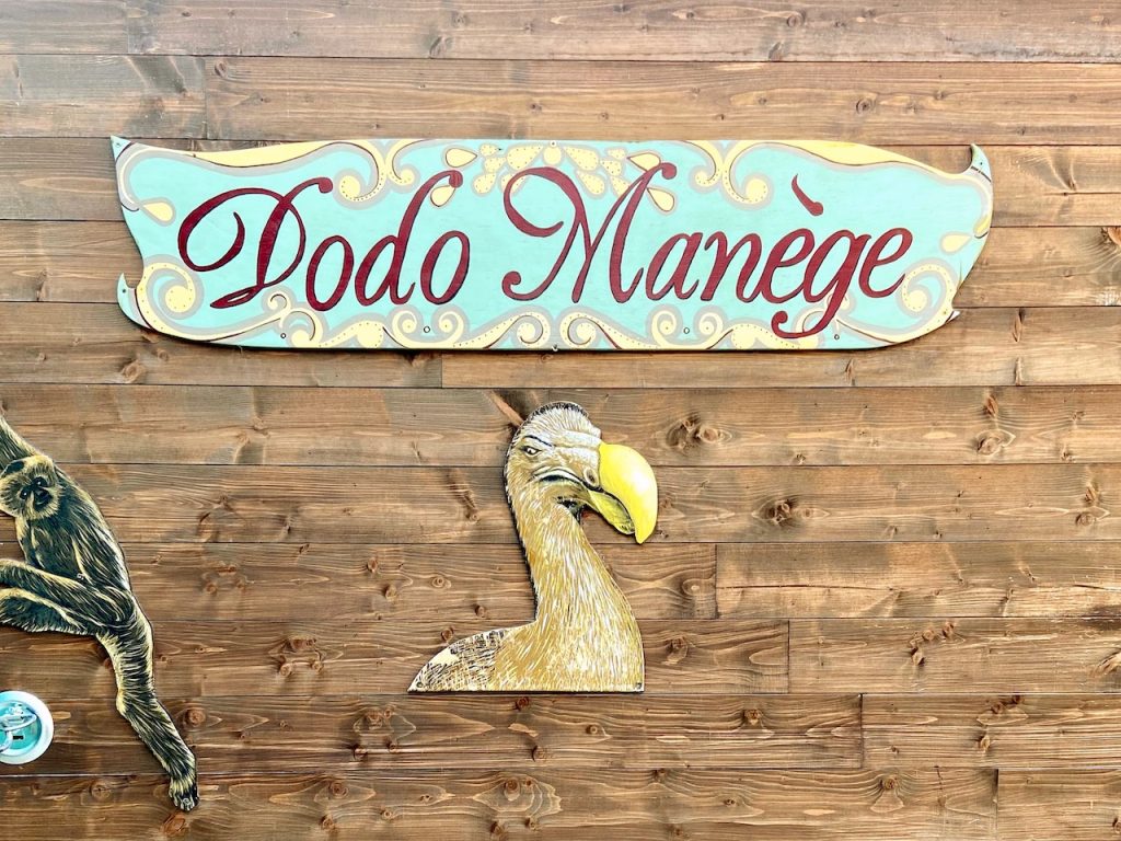 Parigi cosa vedere di insolito dodo manège